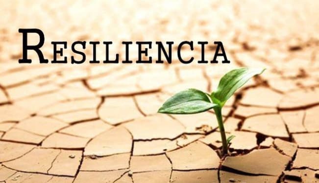 Resiliencia Emocional en Tiempos de Crisis: Un Manual Personal